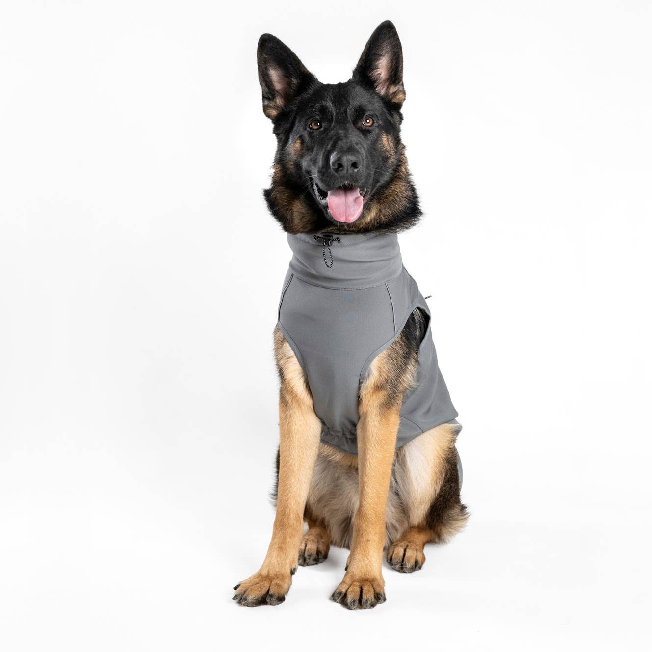 FINNERO - Wholesale Pet Jacket - Dog - UPGRADED MODEL! FINNERO SPORT Softshell Jacket for dogs17