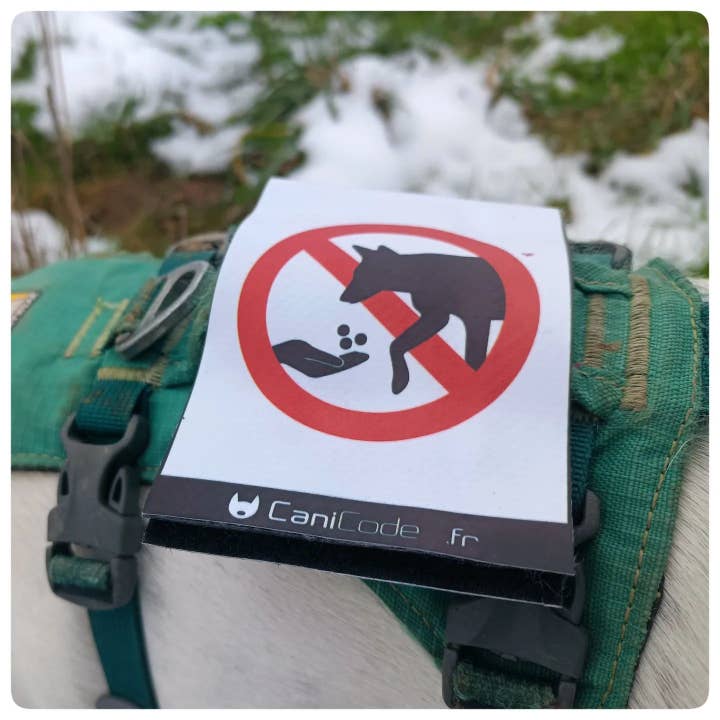 Rascar anverso/reverso CaniCode® PICTO NO ALIMENTAR para venta al por mayor de AniCode