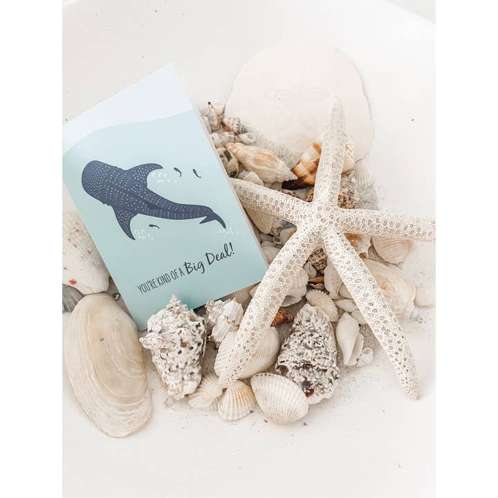 Sailfish Creative - Wholesale Everyday Greeting Card - Other Card - Whale Shark2