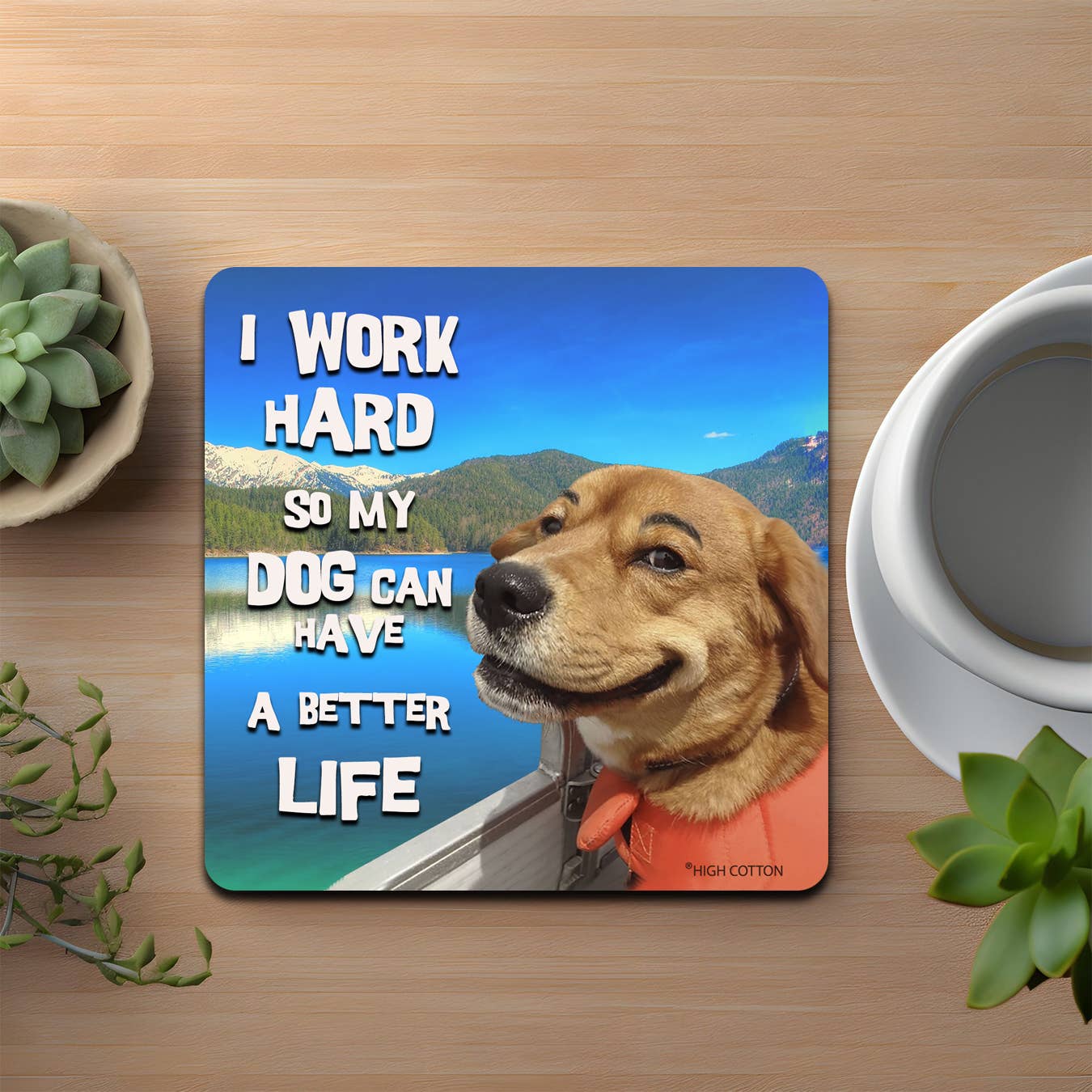 High Cotton Gifts - Wholesale Coasters - I Work Hard Coaster1