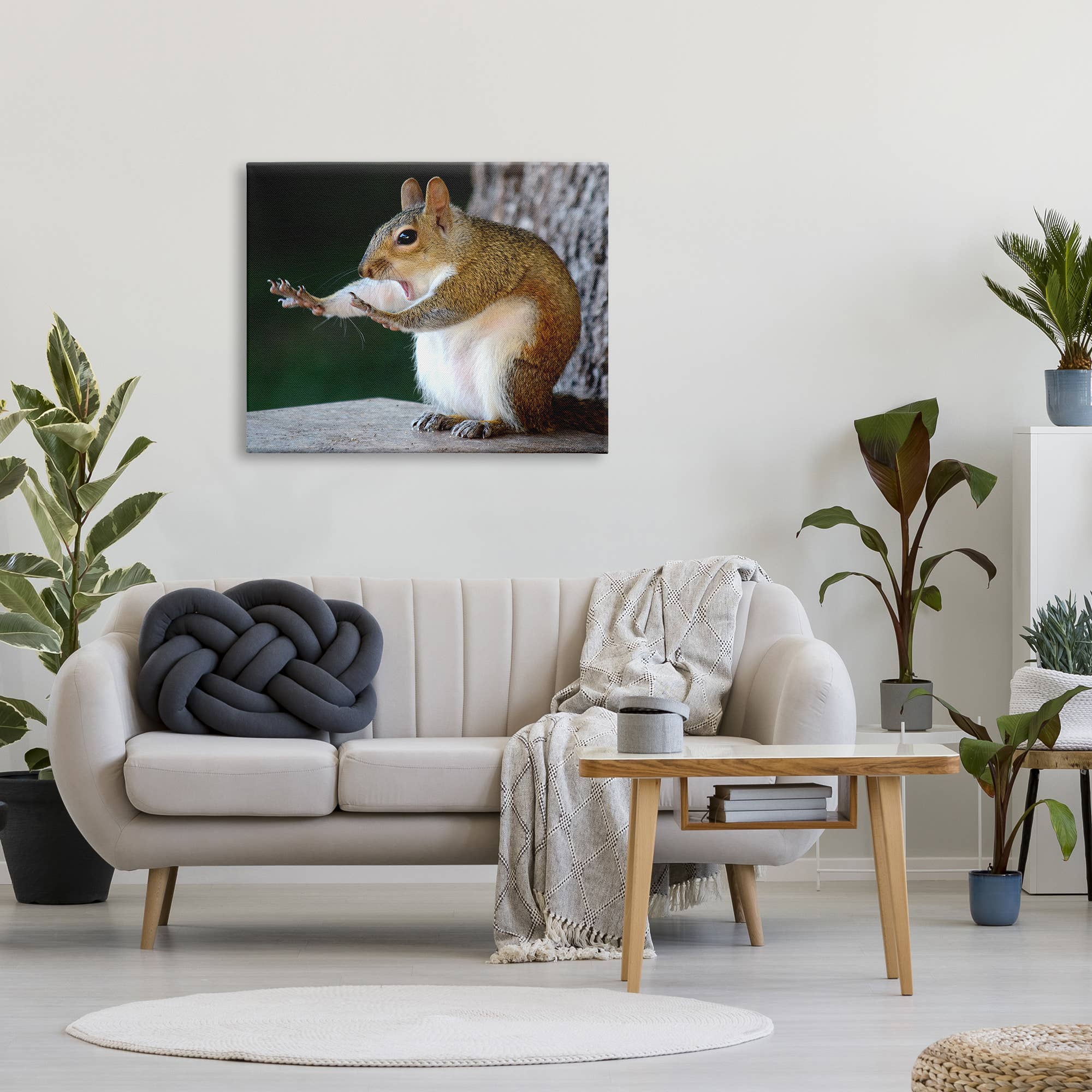 Stupell Industries – wholesale Art print – Funny Shocked Pose Squirrel Canvas Art5