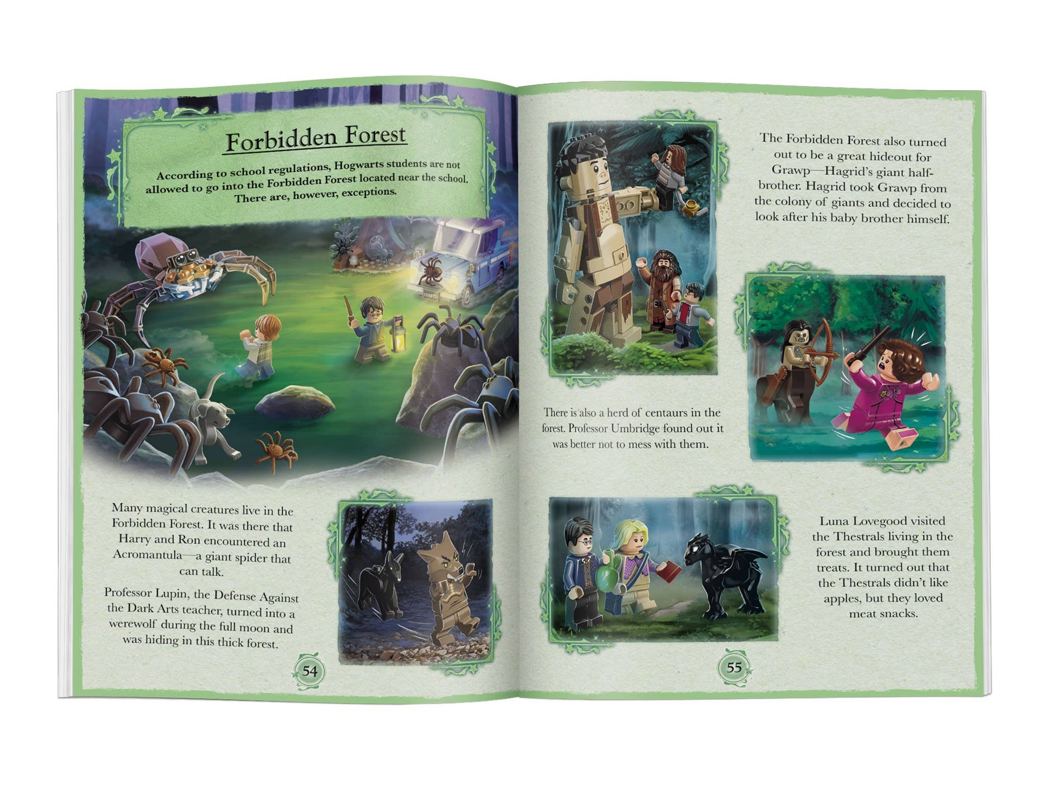 Sourcebooks - Wholesale Preschool Book (3-5) - LEGO(R) Harry Potter(TM) Magical Year at Hogwarts3