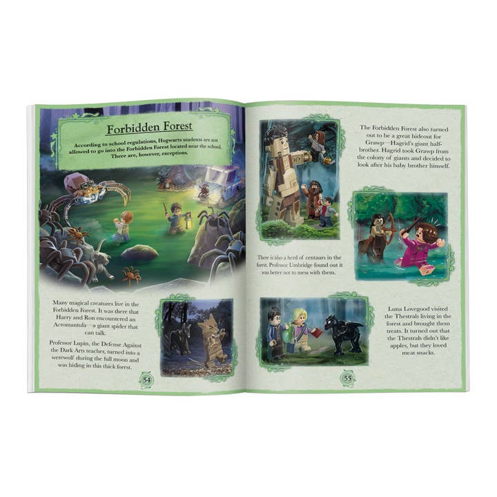 Sourcebooks - Wholesale Preschool Book (3-5) - LEGO(R) Harry Potter(TM) Magical Year at Hogwarts3
