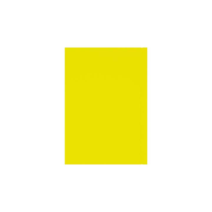 Collins Debden - Wholesale Planner - Essential - A5 Week-to-View Diary - 2026 Calendar Year Planner29