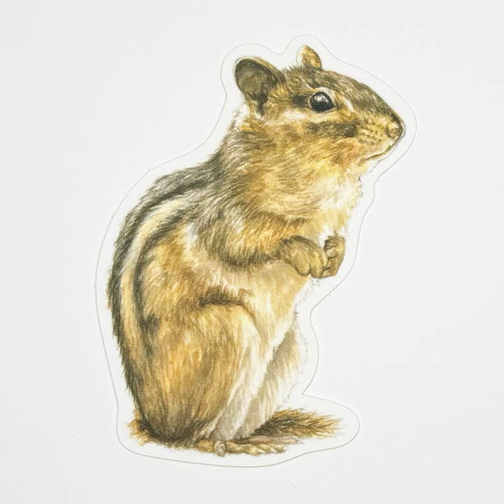 Chipmunk Sticker for wholesale by Hey Hon