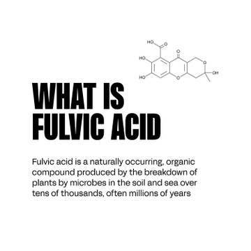 blk. water - Wholesale Oral Supplement/Vitamin - 100-Count Master Case Fulvic Mineral Drops 2oz w/10-pk Slvs2