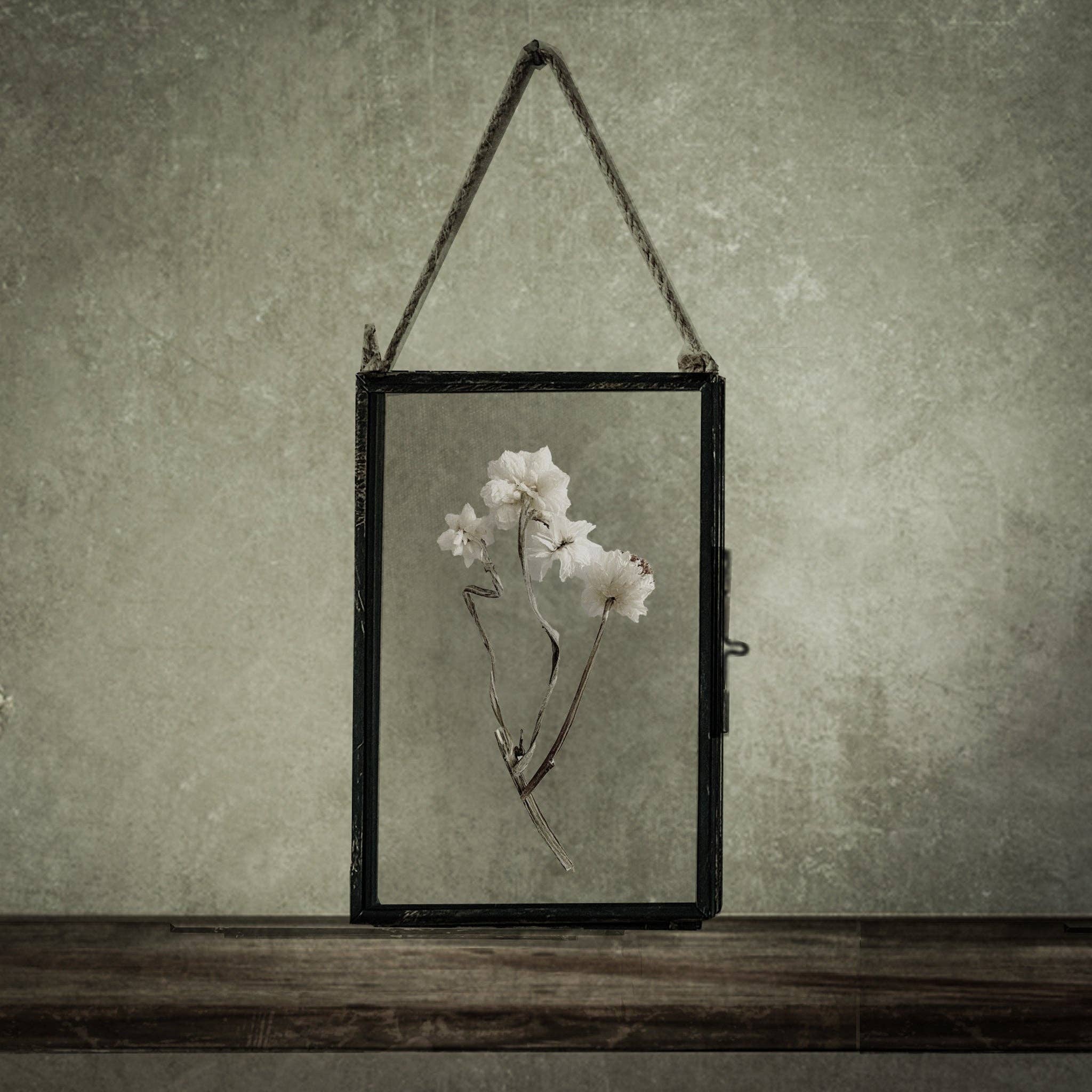 Black Antique Pressed Flower Frame: Dried Achillea Ptarmica - Small for wholesale by Coultura