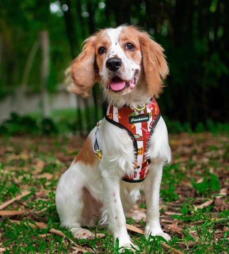 Frenchiestore - Wholesale Pet Harness - Dog - Dog Pet Reversible Health Harness | Game6