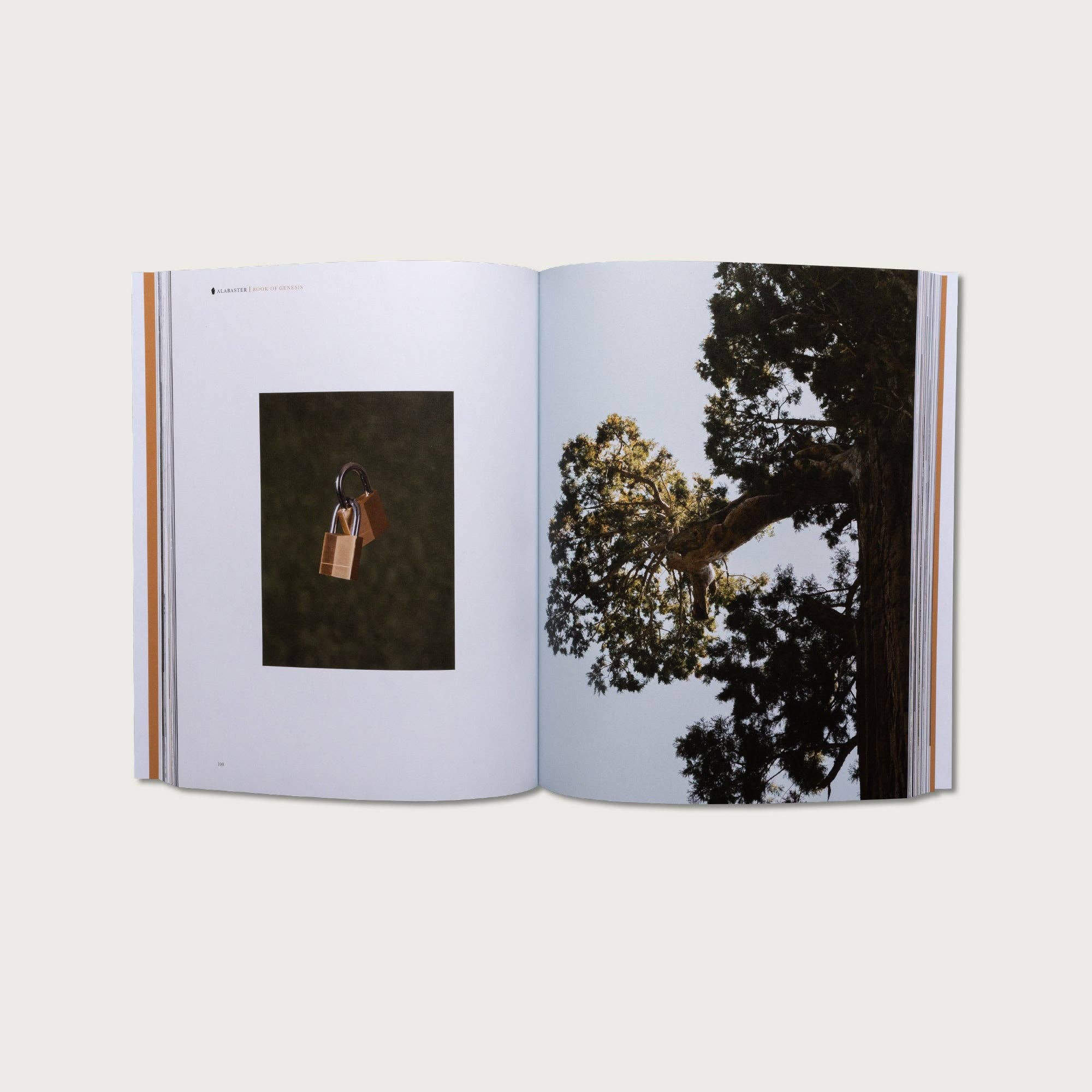 Alabaster Co - Wholesale Religion Book - The Book of Genesis2