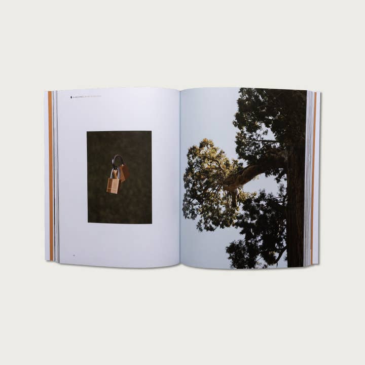 Alabaster Co - Wholesale Religion Book - The Book of Genesis2