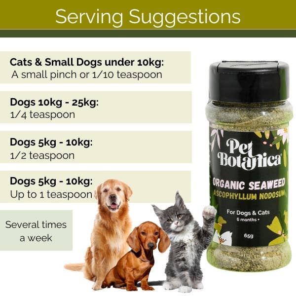 Pet Botanica - Wholesale Pet supplement – Cat/dog - Organic Seaweed Meal Topper for Dogs & Cats - Dental Support2
