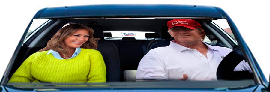 AAHS Enterprises - Wholesale Car Decorative Charm - Unisex - Donald Trump Car Sunshade | Funny Political Car Accessory (Donald and Melania Trump)…0