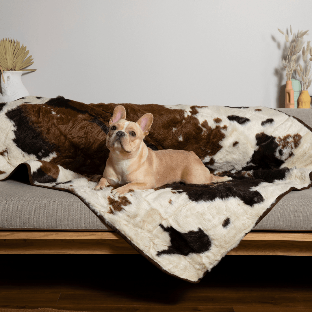 Paw Brands - Wholesale Pet Blanket - Dog - PupProtector™ Waterproof Throw Blanket - Brown Faux Cowhide6