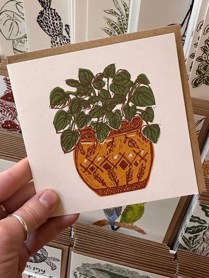 Scheda Peperomia per la vendita all'ingrosso da parte di LDMDesign