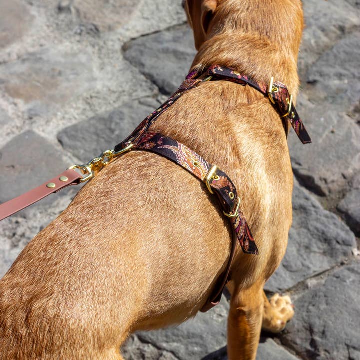 Atelier Markiz – Großhandel Haustiergeschirr – Hund – Kashmir-Geschirr2