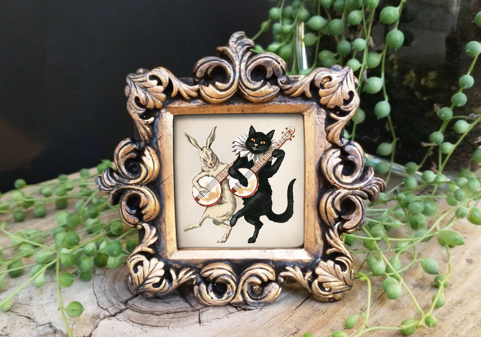 BoyPilot Goods - Wholesale Art Print - Mini Vintage Framed Animal Prints - Raccoon, Frog, Cat2