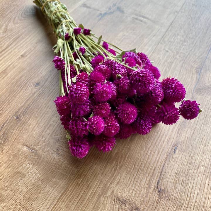 Lovejoy Farms Premium Dried Flowers - Wholesale Dried/Pressed Flowers - Globe Amaranth - Purple