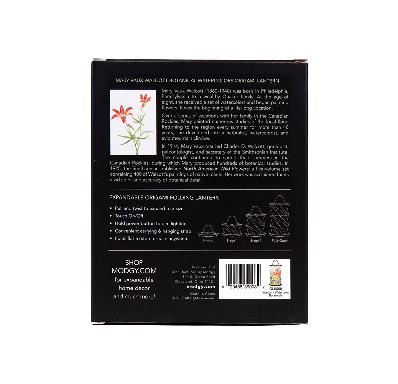 Modgy - Wholesale Lantern - Modgy Mary Vaux Walcott Botanical Watercolor Origami Lantern3