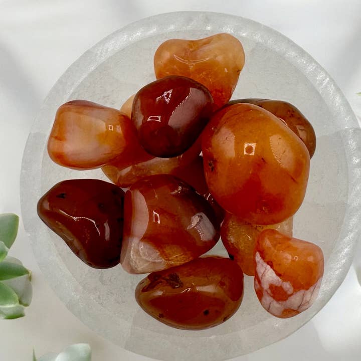 Tumbled Carnelian - Wholesale Crystals for wholesale by Liv Rocks