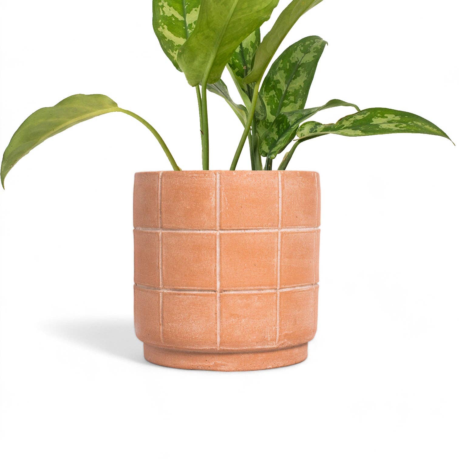 Meso Goods - Wholesale Plant Pot - Grid Small Terracotta Planter by Diego Olivero1