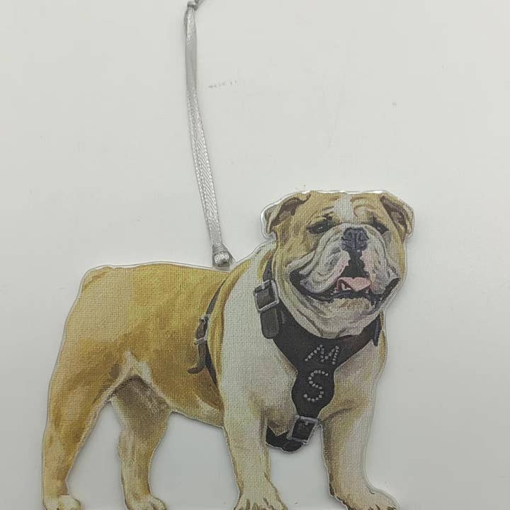 Adorno acrílico con la mascota del estado de Mississippi para venta al por mayor de Valiant Gifts Inc