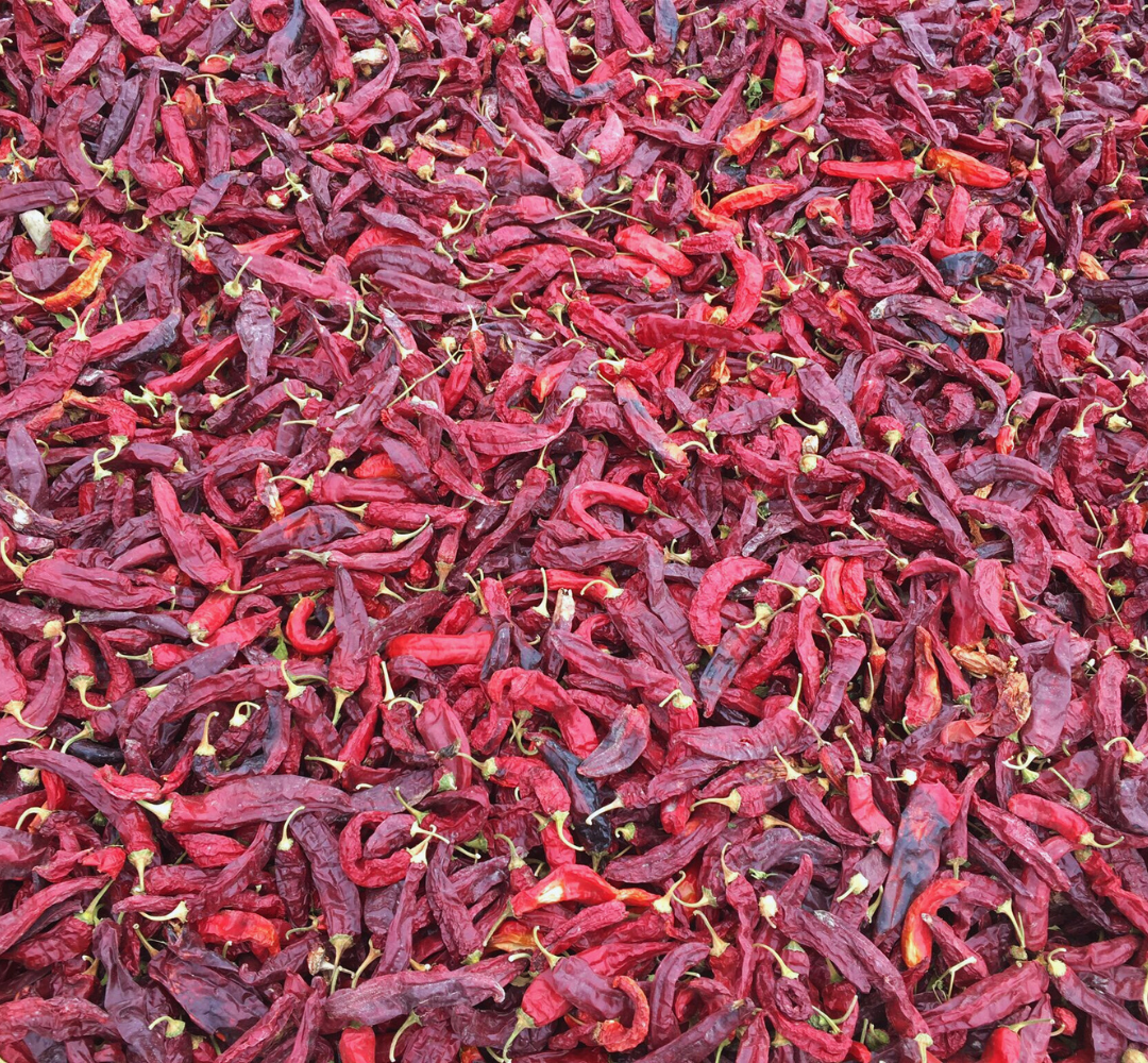 ORENCIO HOYO, S.L. - Wholesale Dried Spice - Carlos I Smoked Sweet Paprika Tin 75g9