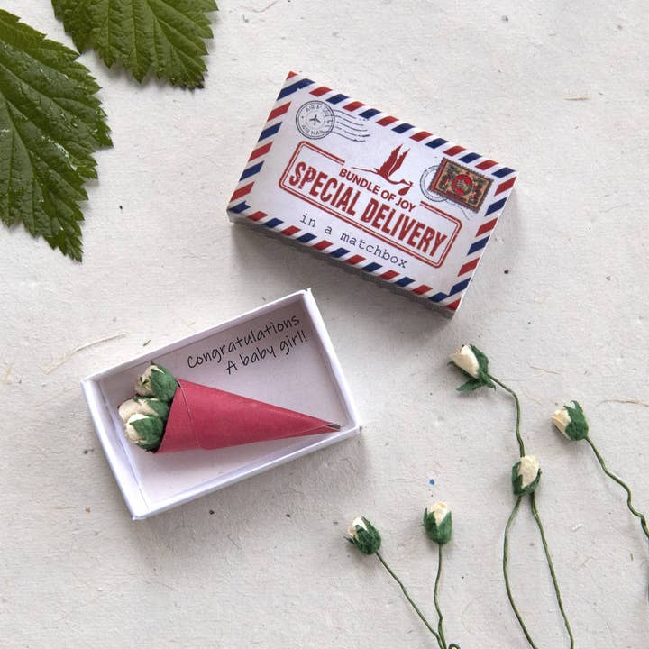 Marvling Bros Ltd – wholesale Baby card – Special Delivery Baby Girl In A Matchbox