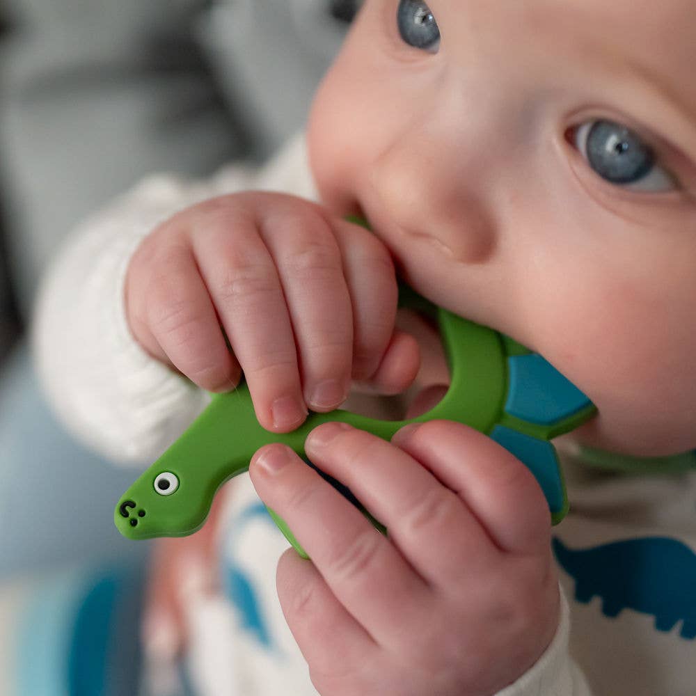 Ziggle Baby - Wholesale Teether (Not Clip-On) - Baby - Dinosaur Teether Silicone5