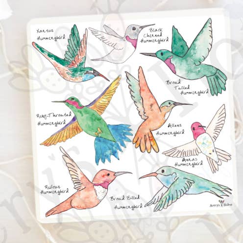 Avery's Home - Wholesale Coasters - Hummingbird Kinds Absorbent Stone Coaster (Sets of 4 or 12)