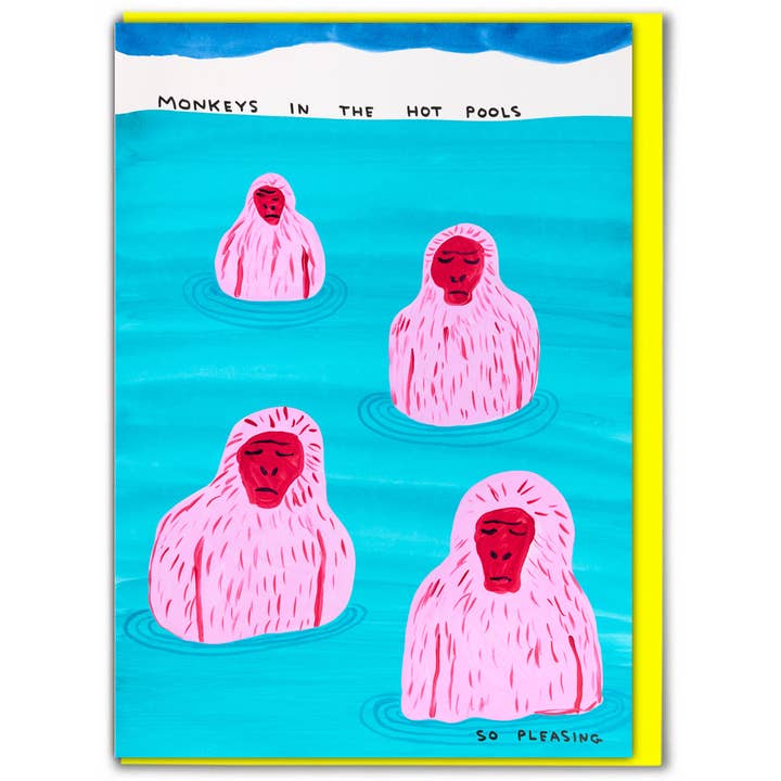 Funny Greetings Card - Monkeys In Pool by David Shrigley for wholesale by David Shrigley x Brainbox Candy