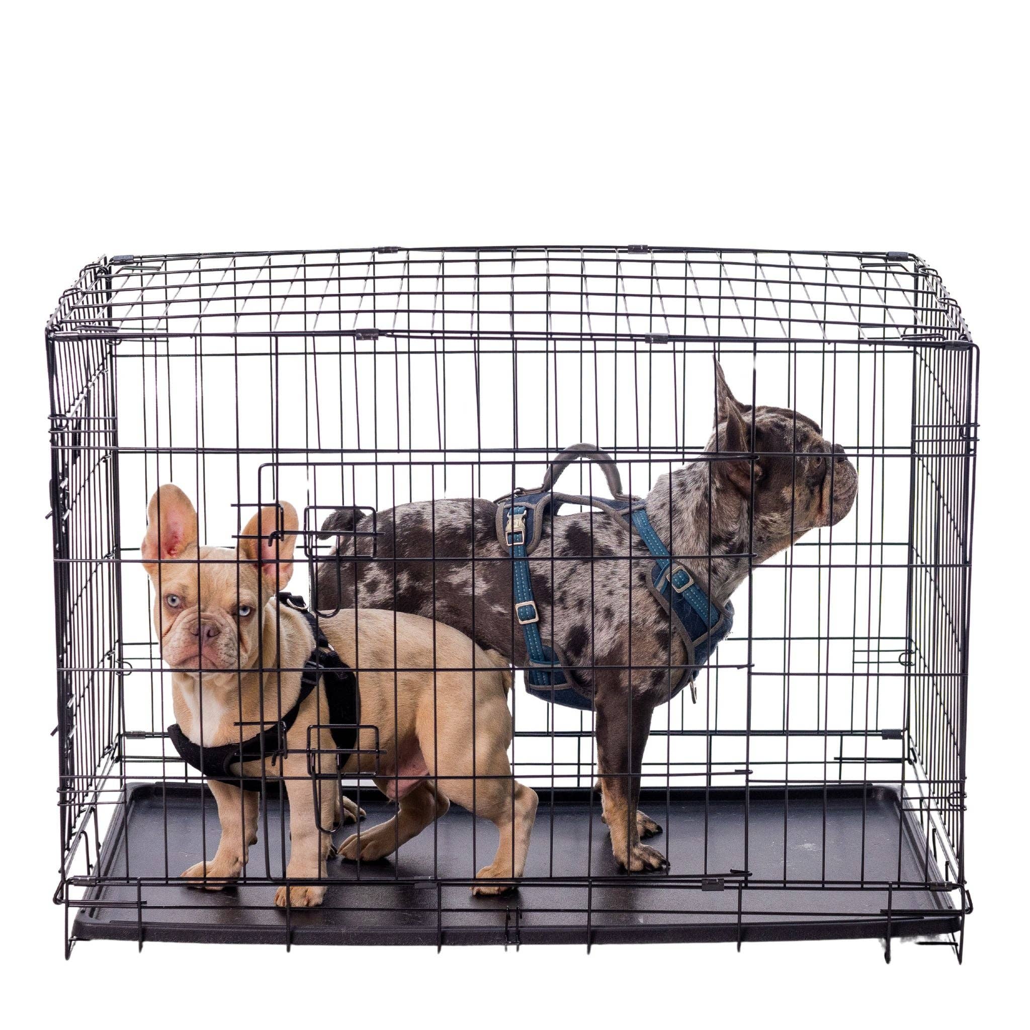 Wasatch Pup - Wholesale Pet Carrier - Dog - Classic Wire Kennel13