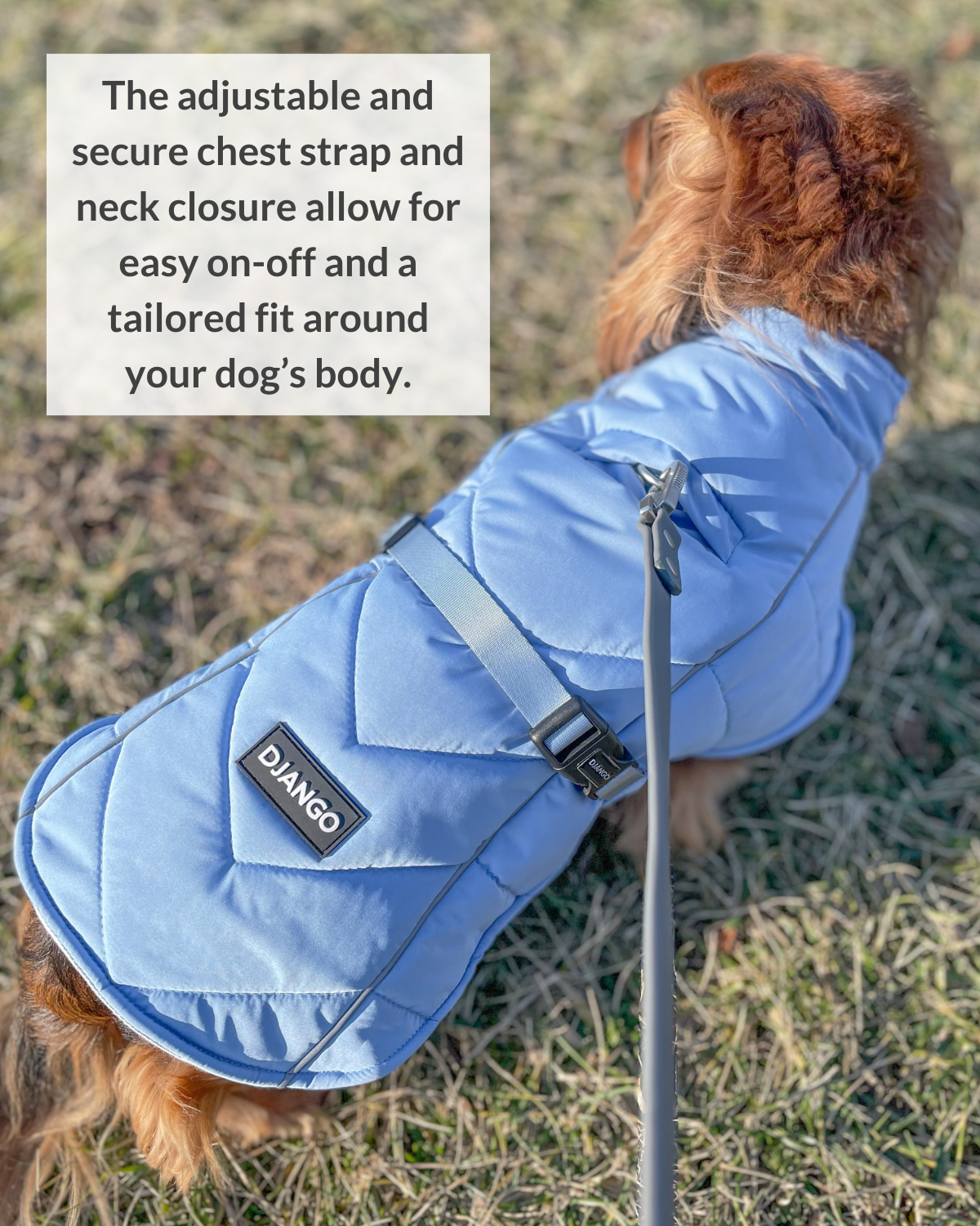 DJANGO - Wholesale Pet Coat - Dog - Whistler Winter Dog Coat - Dusk Blue5