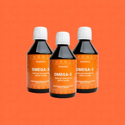 DogNikita - Wholesale Pet Supplement - Dog - DogNikita Omega-3 - 300 ml2