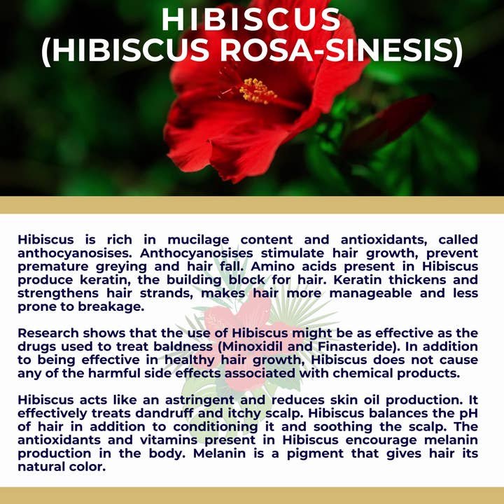 The Sacred Essence - Wholesale Hair serum - MANA Ayurveda Hair Restoration Serum - Hair Superpower20