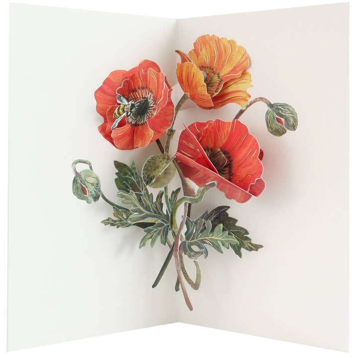 UWP LUXE Paper Artisan Mohn für den Großhandel von Popshots Studios