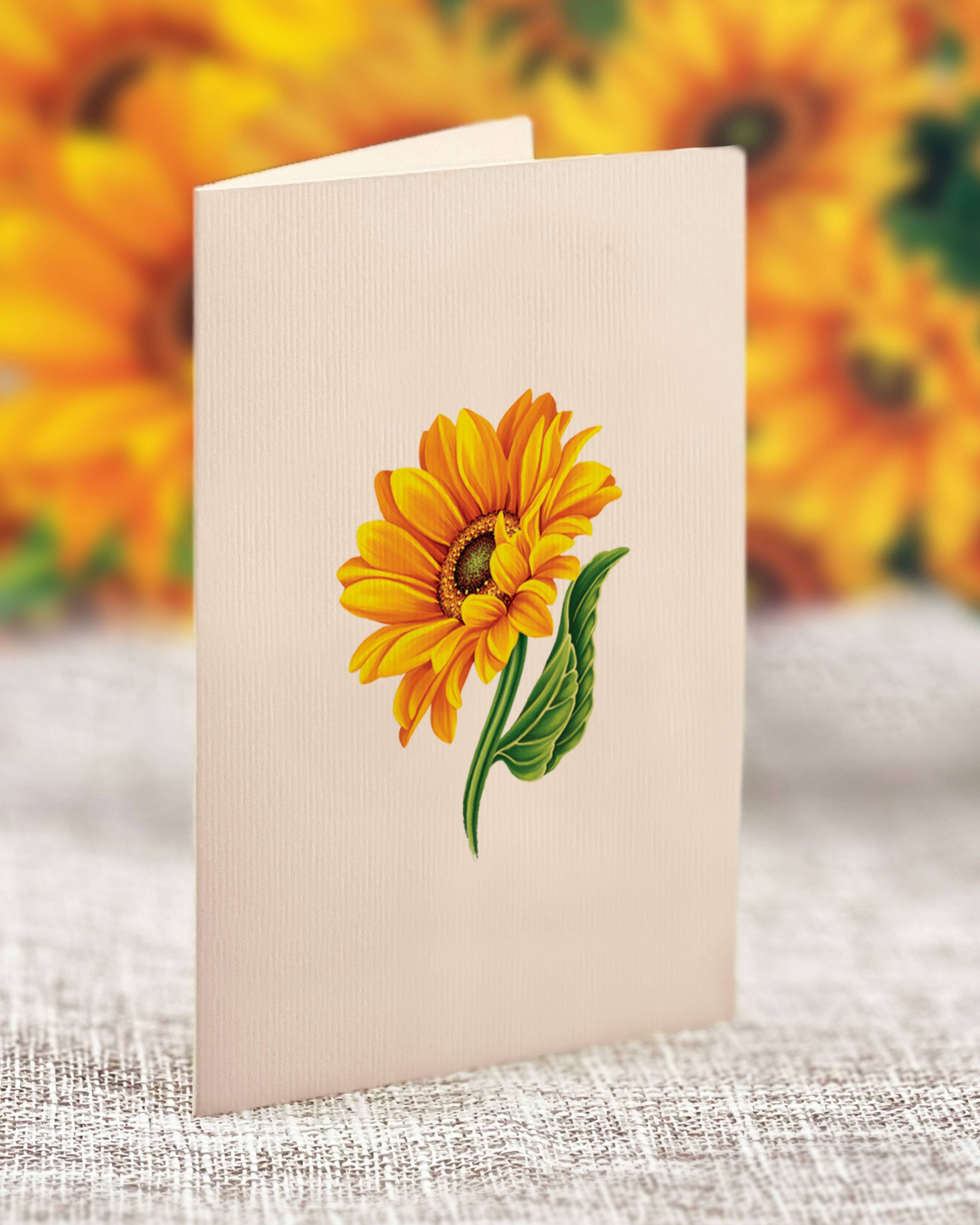 FreshCut Paper LLC - Wholesale Everyday Greeting Card - Mini Sunflowers (10 Pop-up Greeting Cards)5