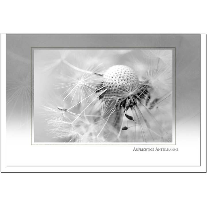 metALUm kondolencekort B6 – Motiv mælkebøtte i sort-hvid – Oprigtig medfølelse for engroshandel hos metALUm