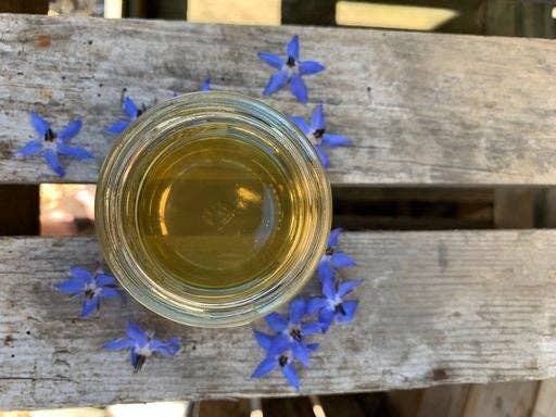 Bees & Co – wholesale Honey – Raw British Borage Honey - Great taste award winning1