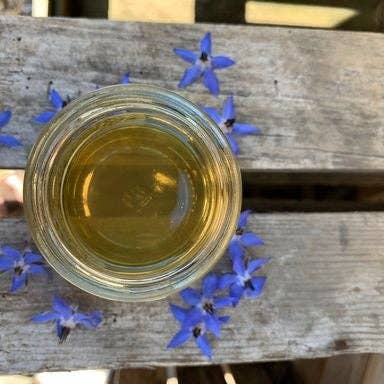 Bees & Co – wholesale Honey – Raw British Borage Honey - Great taste award winning1