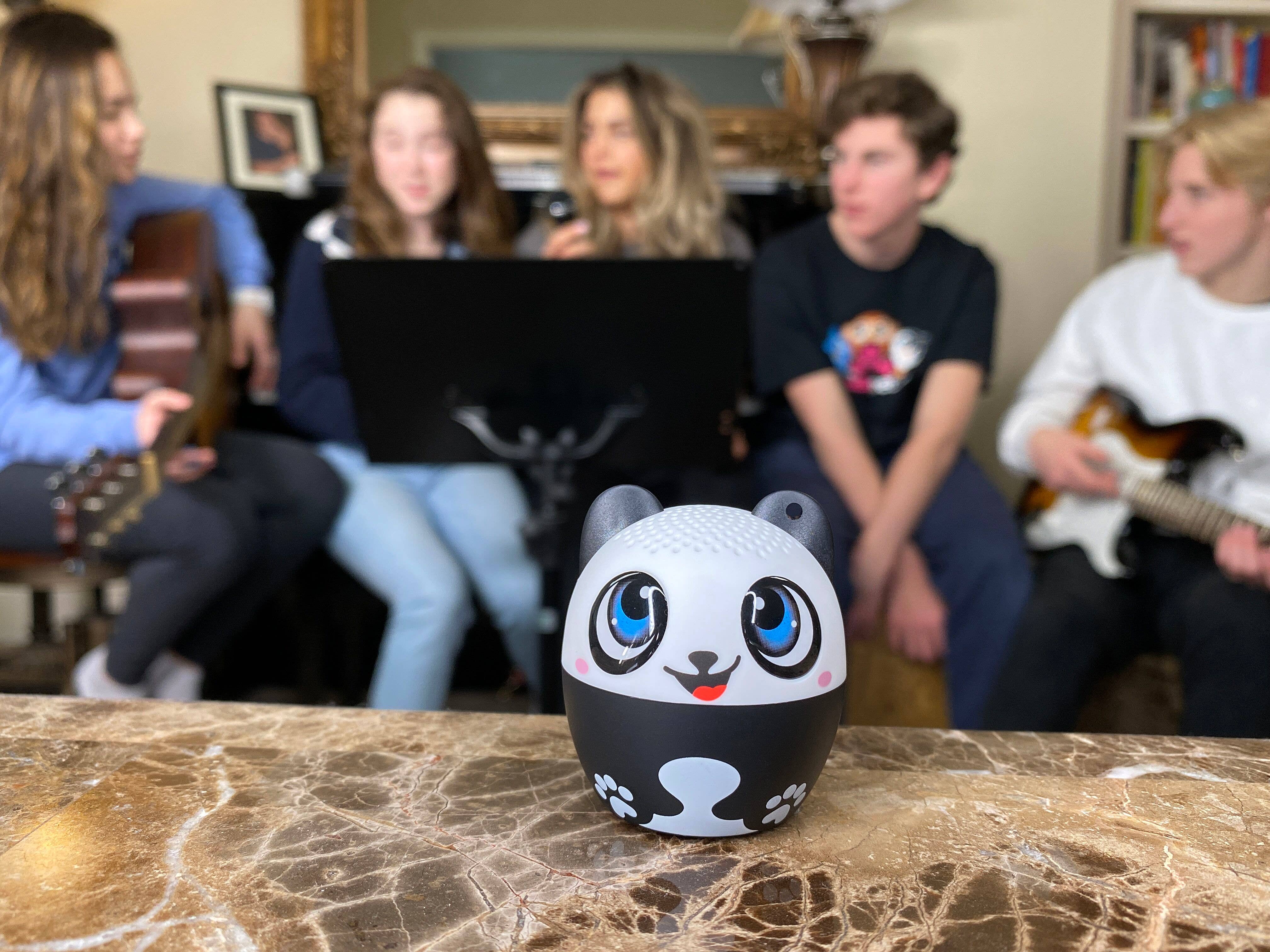 My Audio Life - Wholesale Speakers - My Audio Pet - Panda9