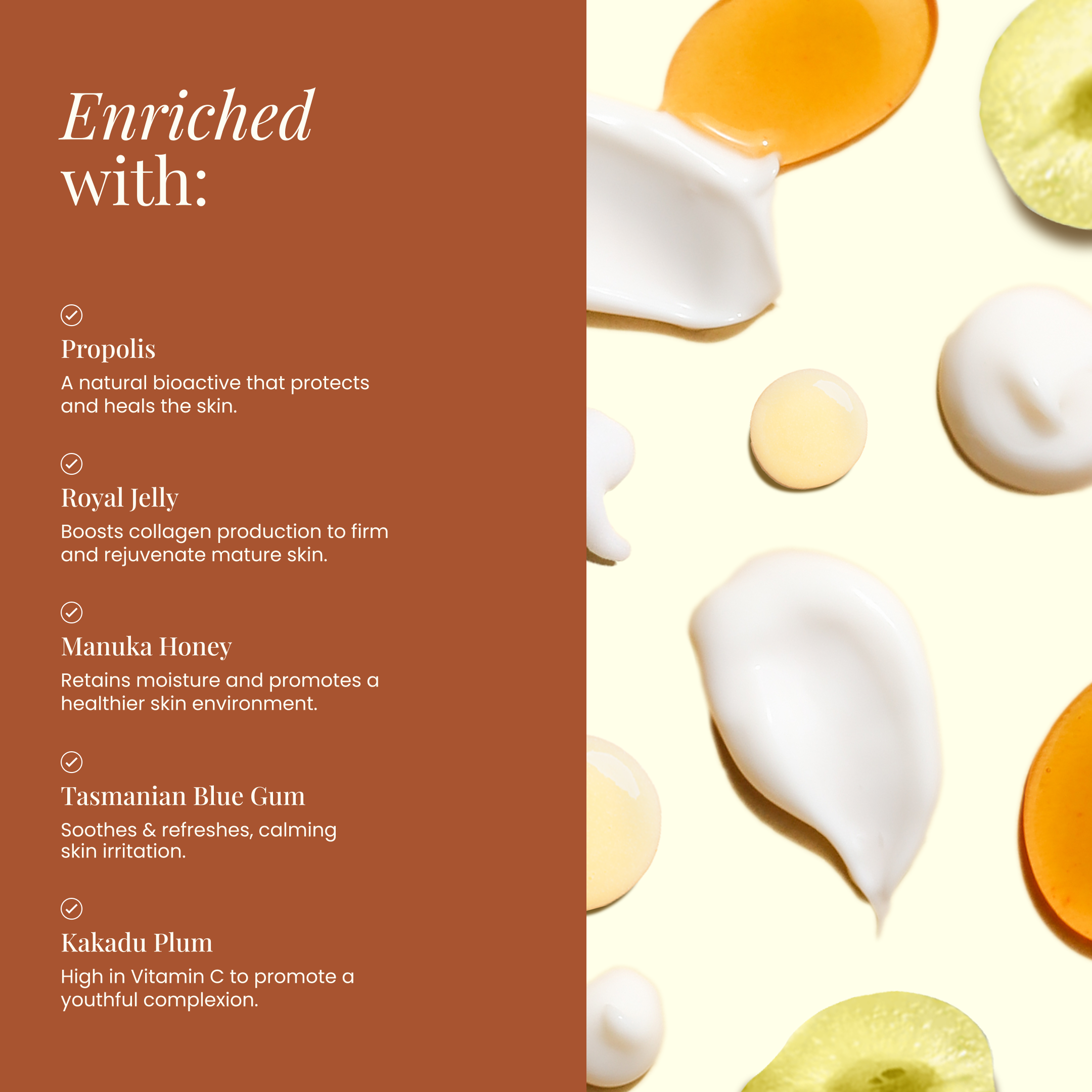 Wild Bee skincare - Wholesale Facial moisturiser - Nourishing Face Cream2