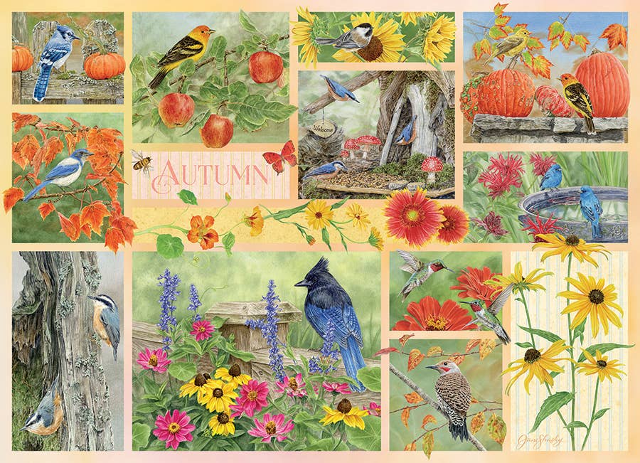 Outset Games and Cobble Hill Puzzles - Vente Puzzle – adulte - Puzzle 500 pièces : oiseaux de jardin en automne1