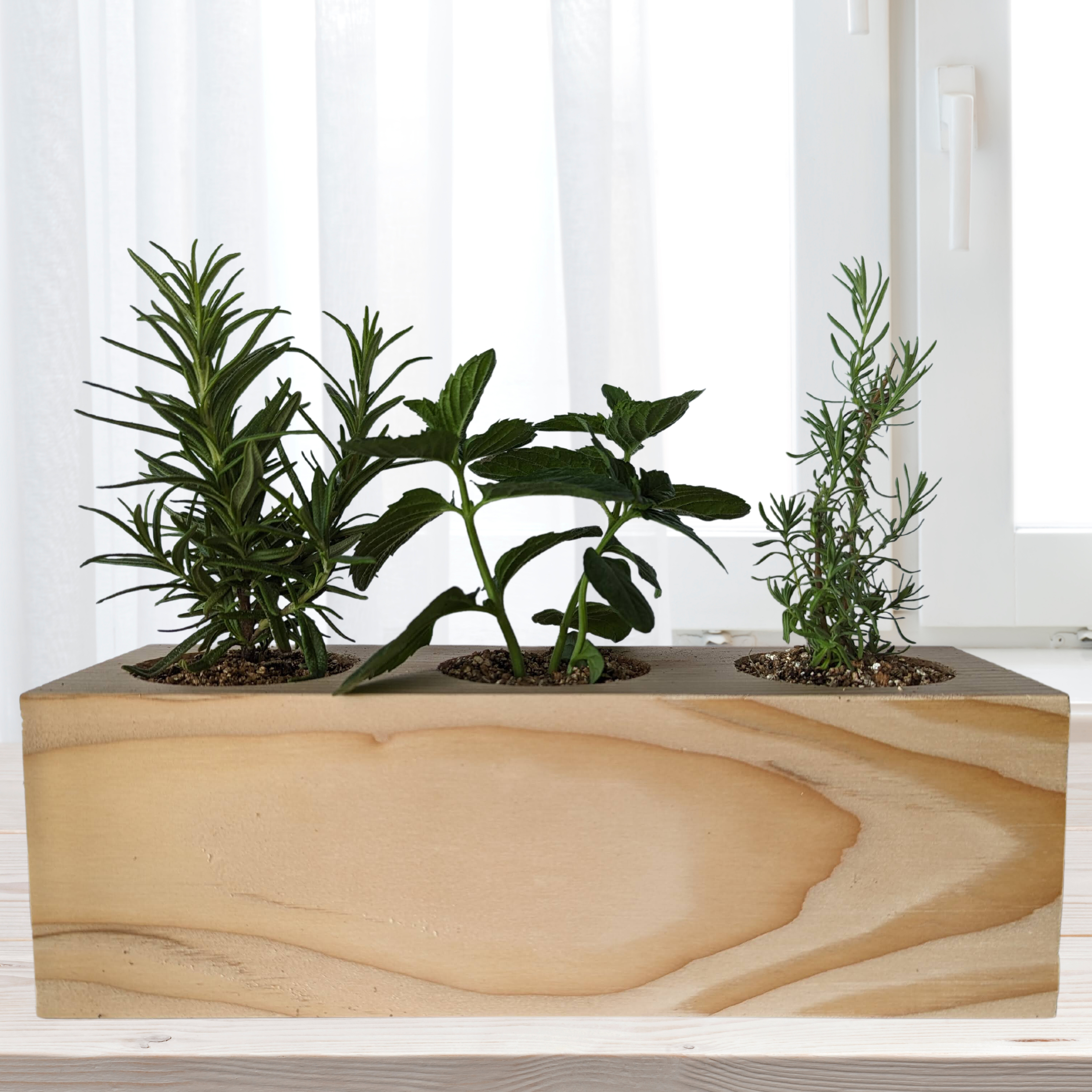 Sprigbox - Wholesale DIY Craft Kit - Cocktail Mixers Starter Kit | Grow Lavender, Mint, Rosemary2