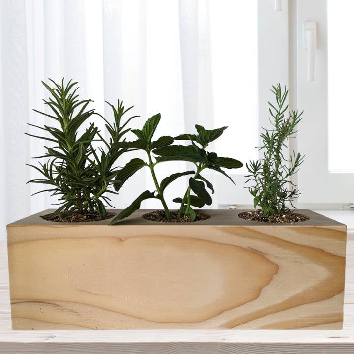 Sprigbox - Wholesale DIY Craft Kit - Cocktail Mixers Starter Kit | Grow Lavender, Mint, Rosemary2