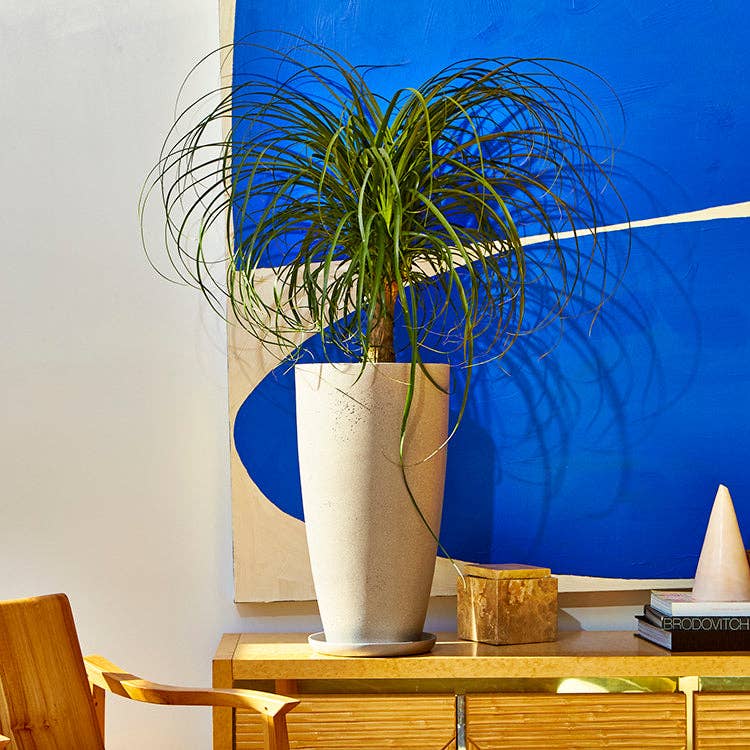 Greenery Unlimited - Wholesale Plant Pot - Newel 30 Large Planter9