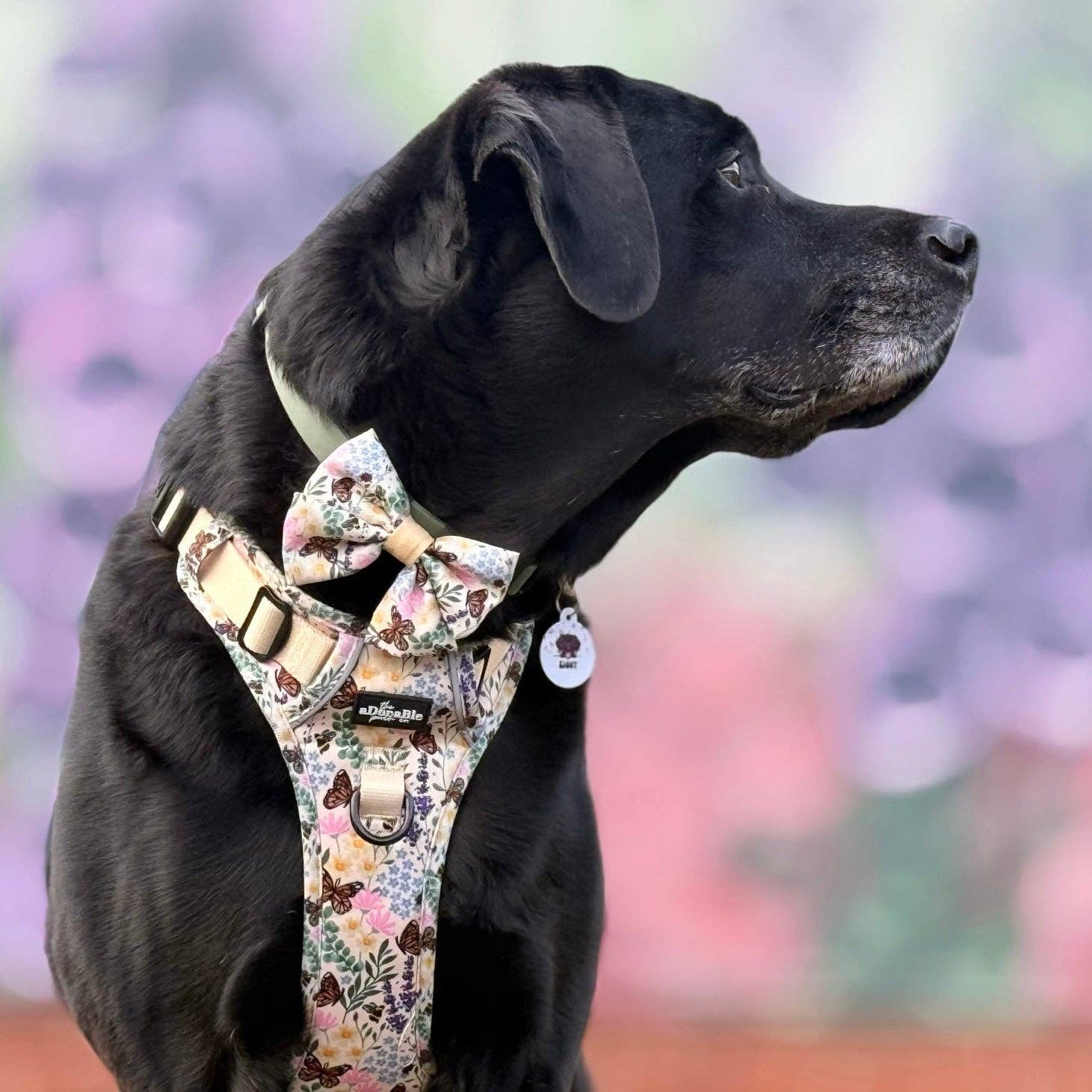 The aDoraBle Pooch Company – Arnês – Cão por atacado – Arnês Hike & Go Lite™ - Bumbles & Butterflies30