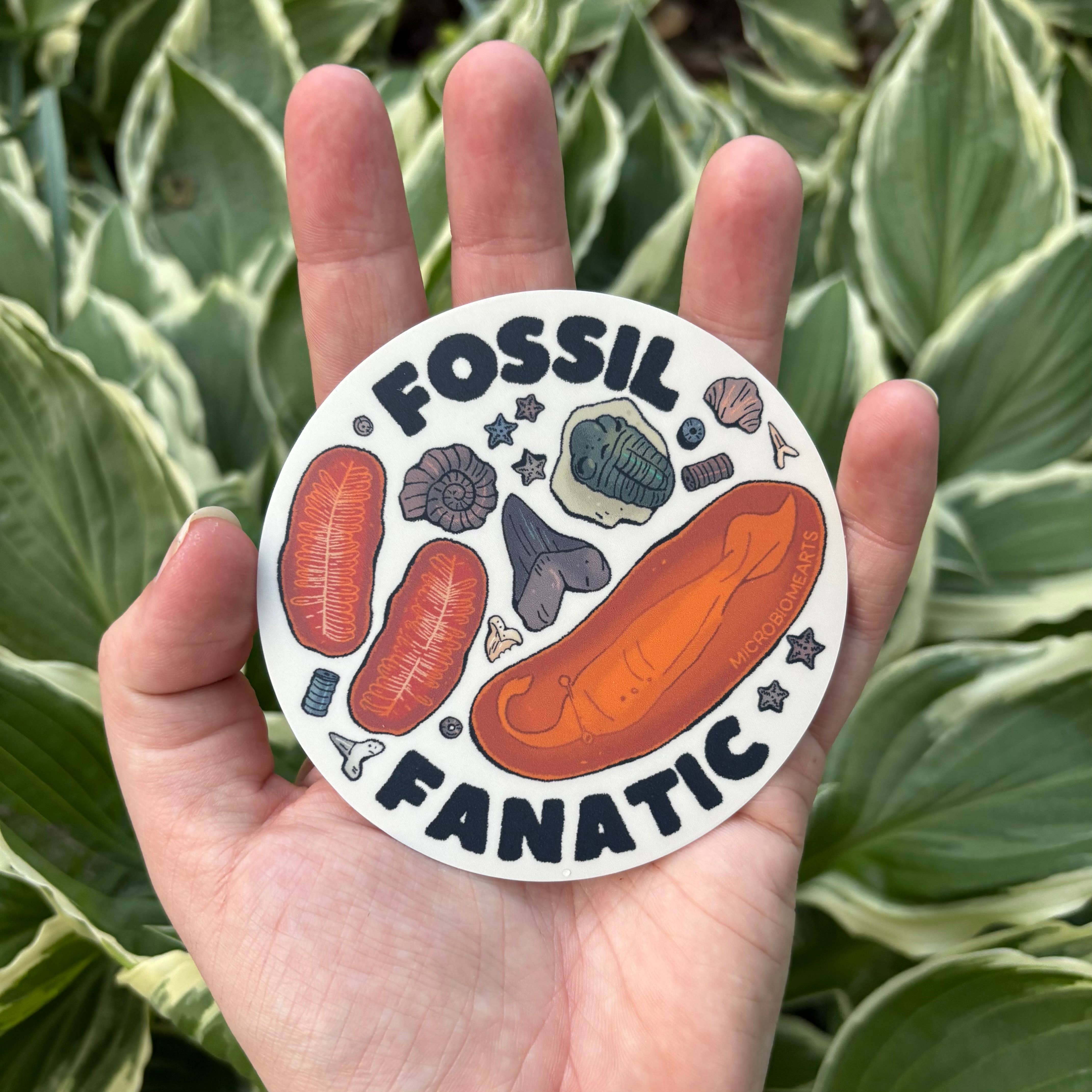 Microbiome Arts - Wholesale Sticker - Fossil Fanatic 3.5” Sticker3