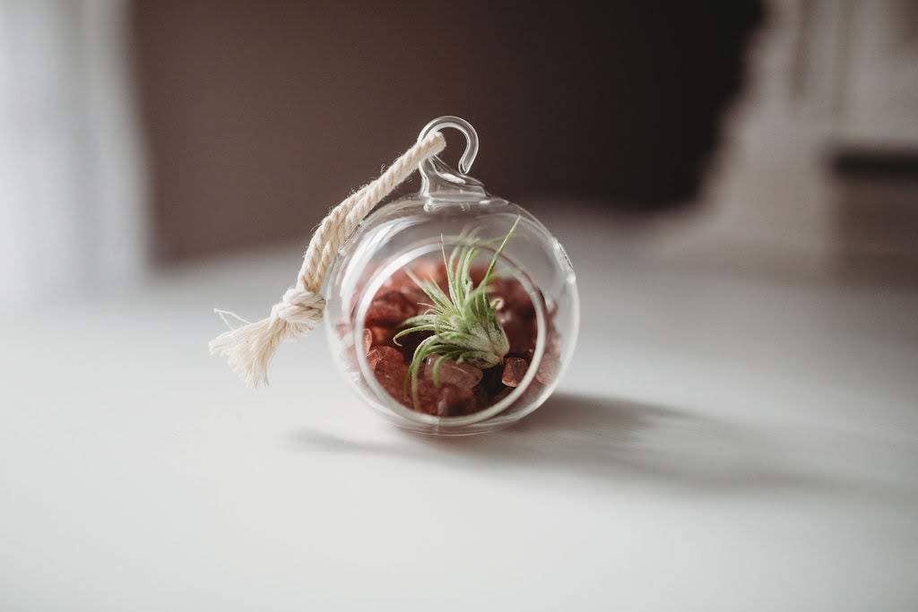 The Simply Crafty Shop - Wholesale Terrarium - Mini Orb Air Plant Terrarium Kit - Semi-Precious Stone7