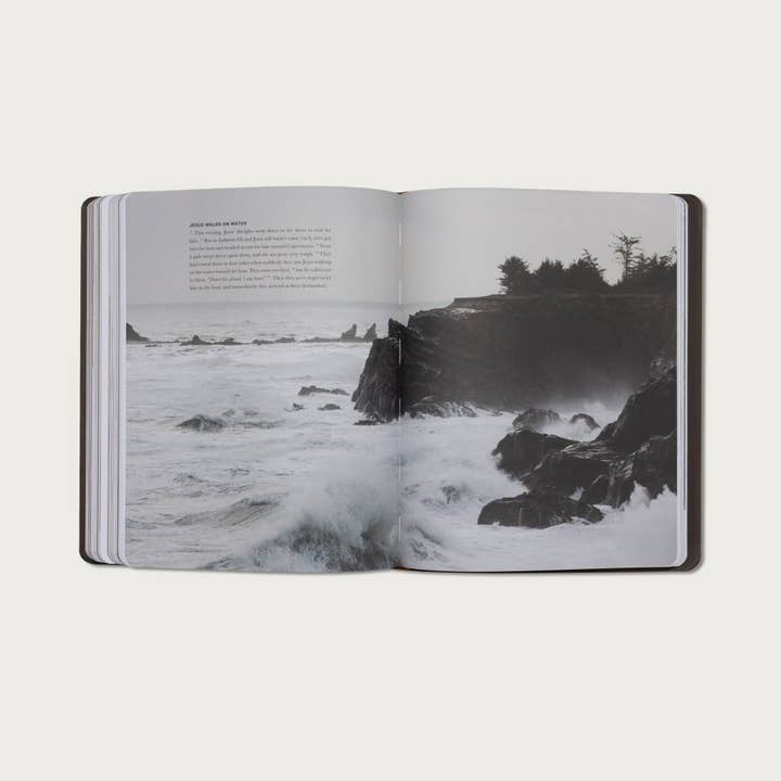 Alabaster Co - Wholesale Religion Book - The Gospels7