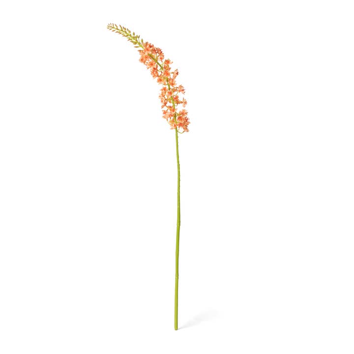 Park Hill Collection Eremurus Stem Small for wholesale by Park Hill Collection